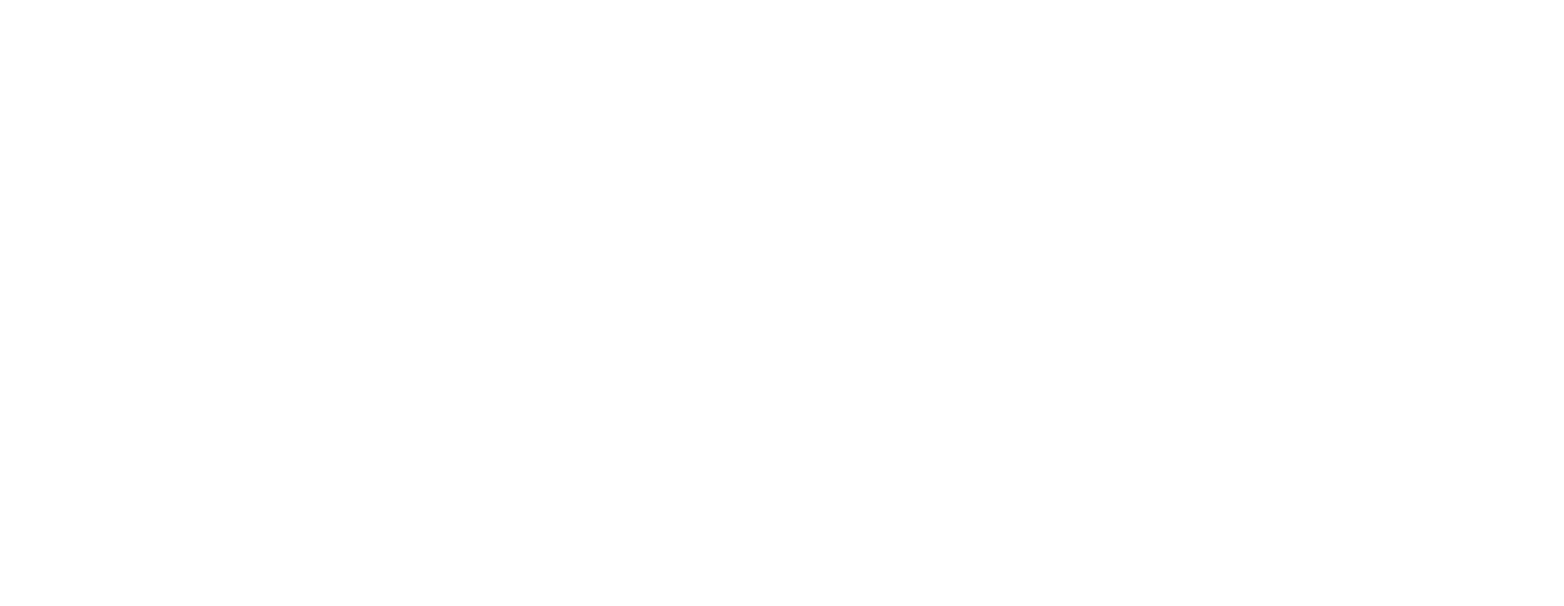 AM Ventures + Consulting